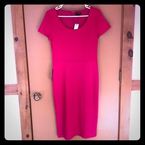 The Limited Midi Dress